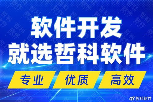 解码技术开发新高度 国内顶尖软件开发公司的核心优势与市场制胜之道