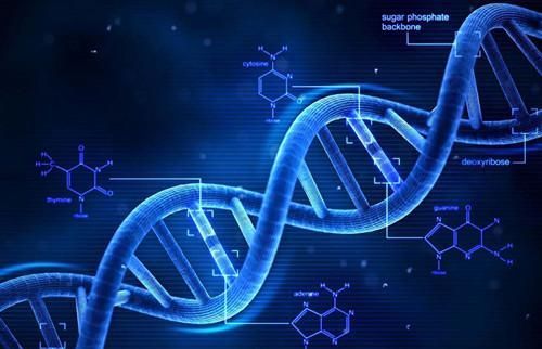 克隆技术 从喧嚣到沉寂，科学家的解答揭示深层原因